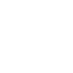 公式X